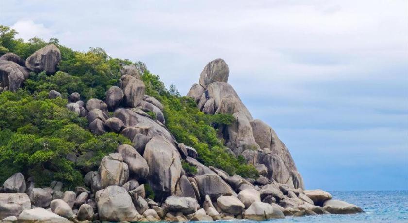 Thalassa Hotel Koh Tao Eksteriør billede